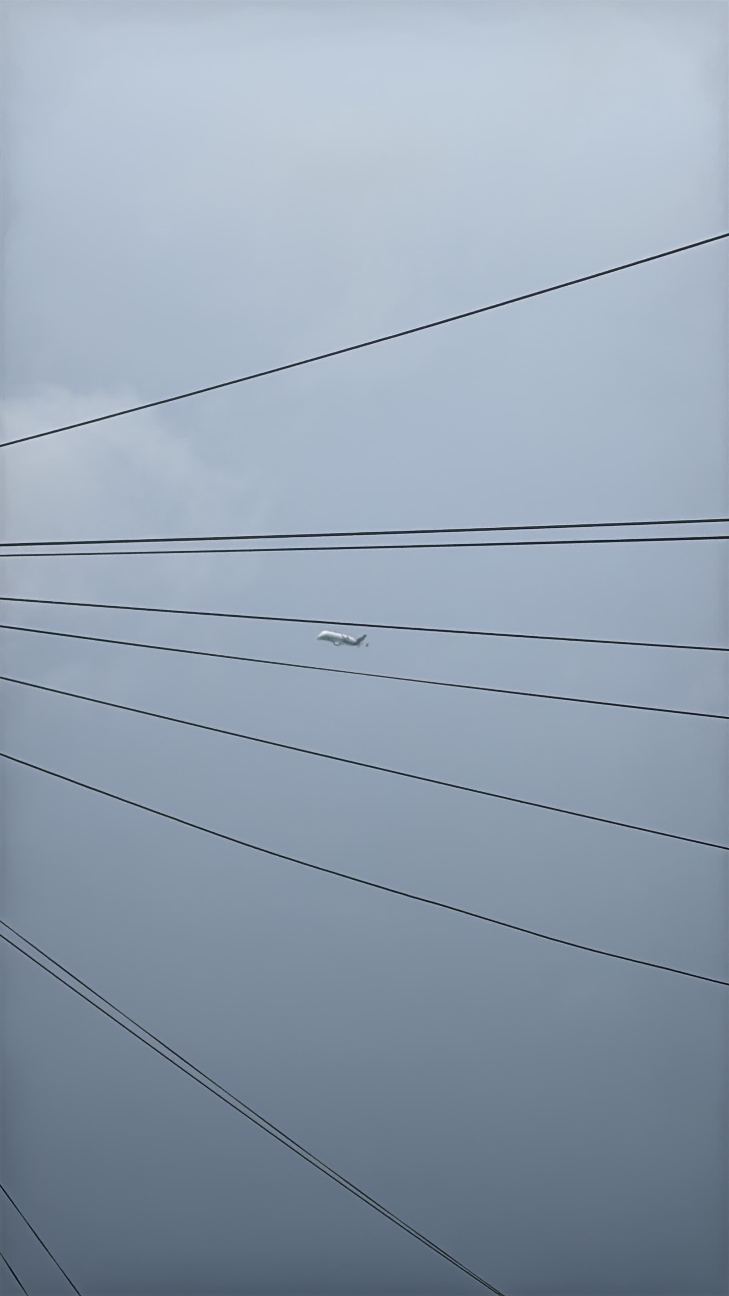 Airbus BelugaXL seen in a grey sky between foreground power lines
