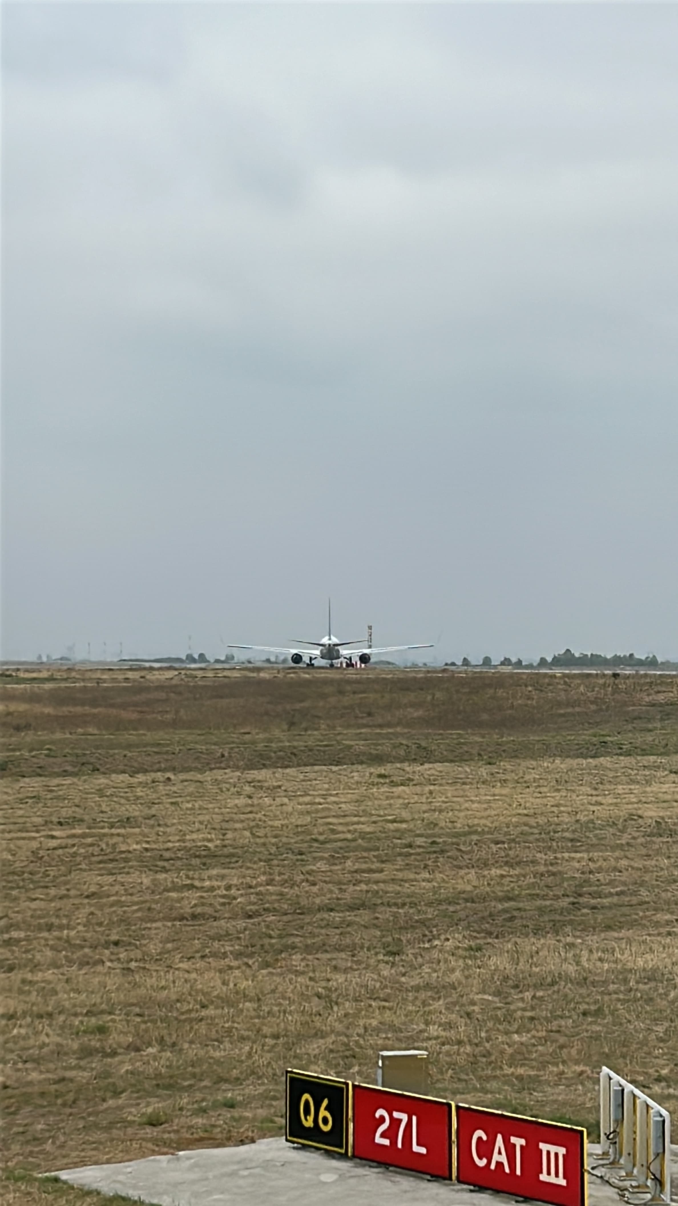 Boeing 767-300 over a grassy foreground under a grey sky.