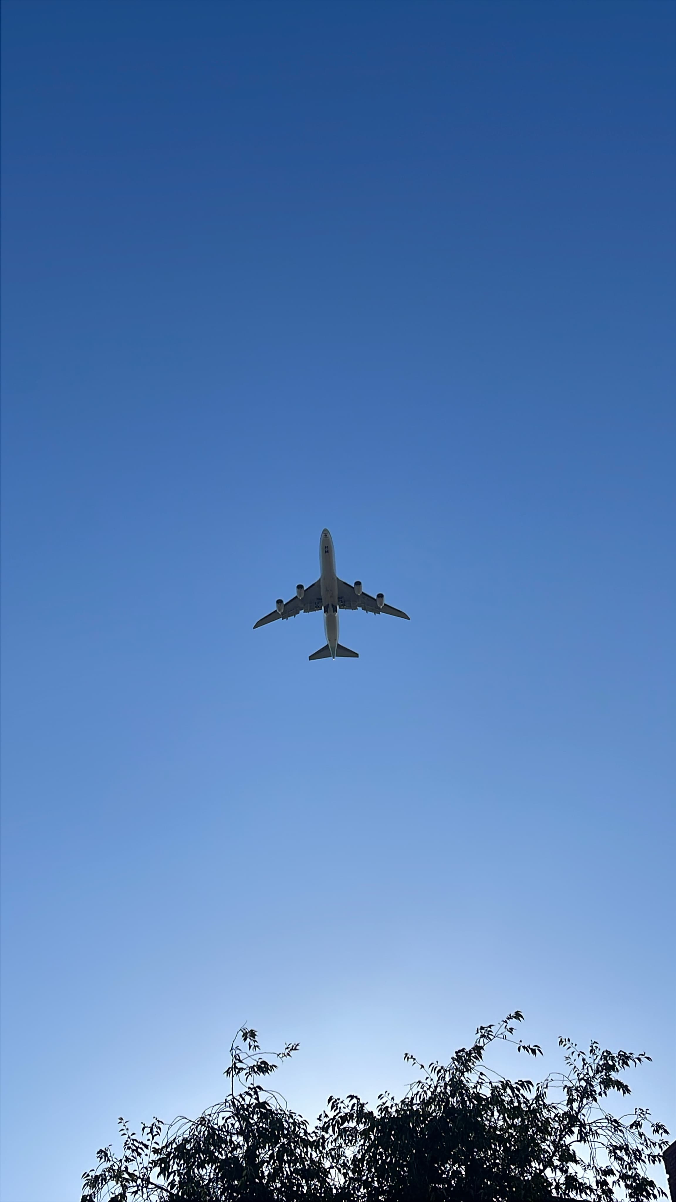 Boeing 747-8 seen from below against a clear blue sky.