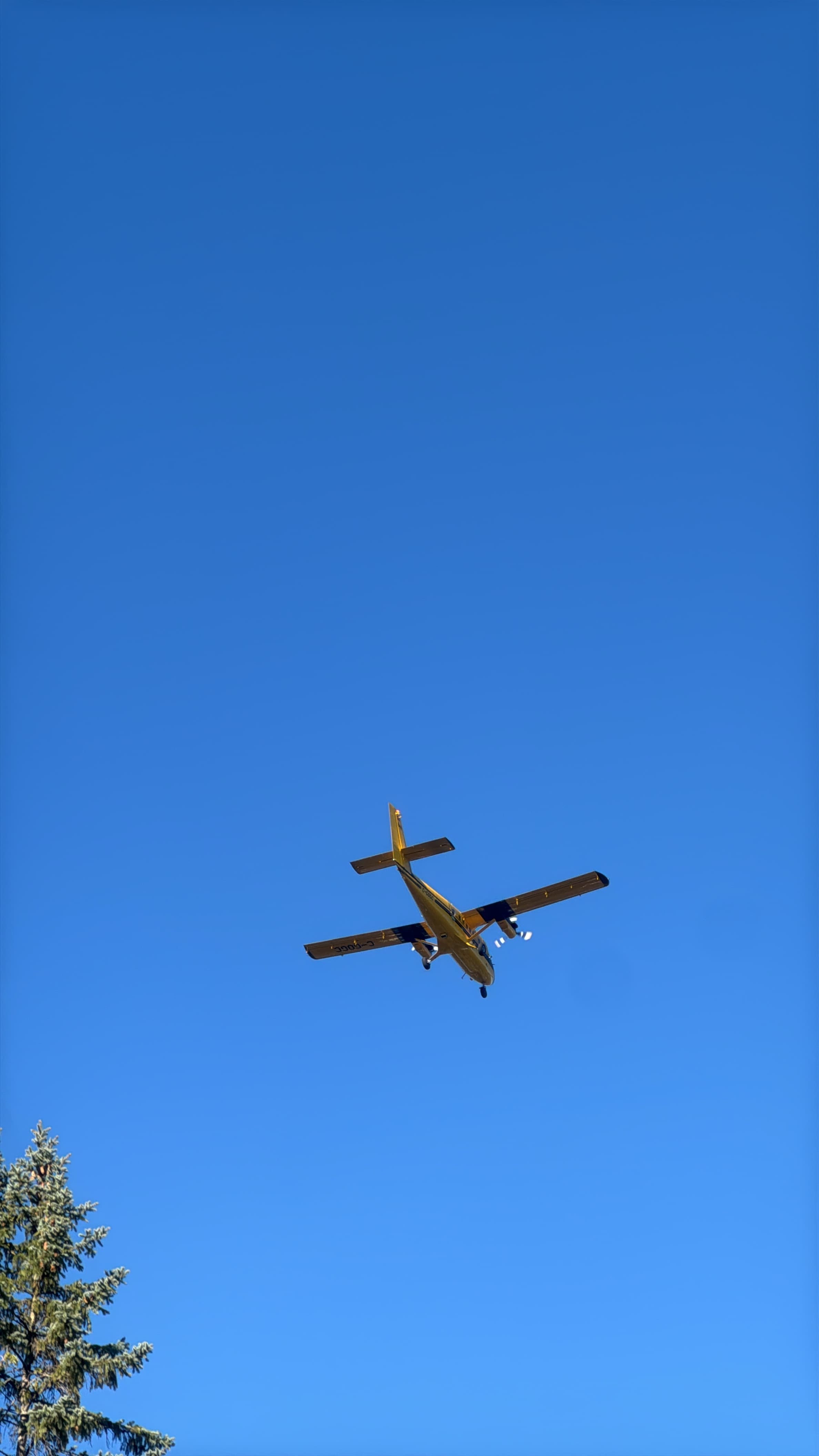 De Havilland Canada DHC-6 Twin Otter passing beneath a bright blue sky.