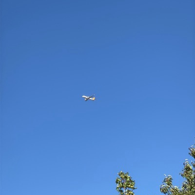 TC-NBE Airbus A320neo Pegasus Airlines, SAW → PRG, 6 Sept 2026, photographed by Oliver
