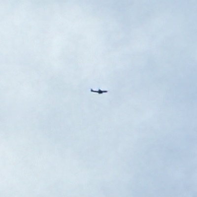 9H-IBJ Airbus A320 Lauda Air, STN → VIE, 8 Oct 2026, photographed by SALT