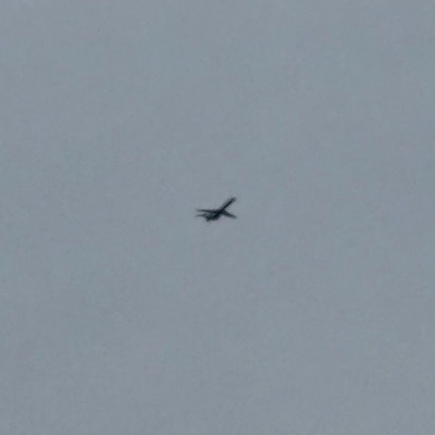 N953AT Boeing 717-200 Delta Air Lines, OKC → ATL, 20 Sept 2026, photographed by SPUR