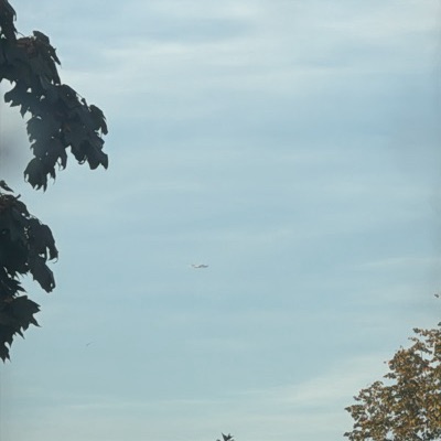 OO-TUV Boeing 737-800 TUI fly Deutschland, HER → EIN, 27 Sept 2026, photographed by Tiger_fighters