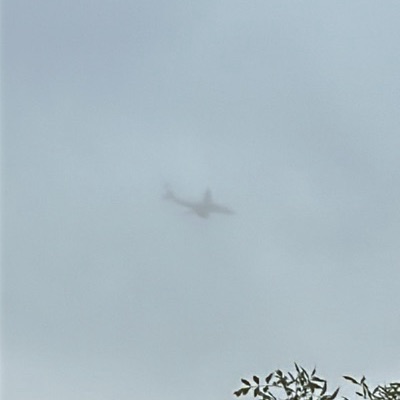 G-DBCE Airbus A319 British Airways, OSL → LHR, 2 Sept 2026, photographed by ItsJoshVibes