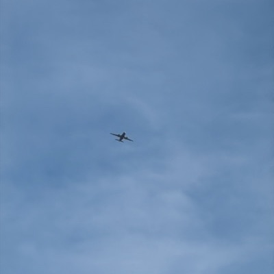 G-DBCJ Airbus A319 British Airways, 30 Sept 2026, photographed by TC