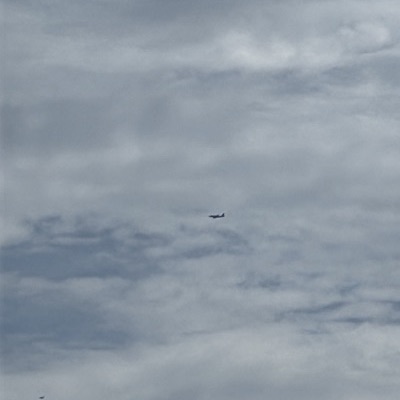 N649AW Airbus A320 American Airlines, DFW → OKC, 20 Sept 2026, photographed by SPUR