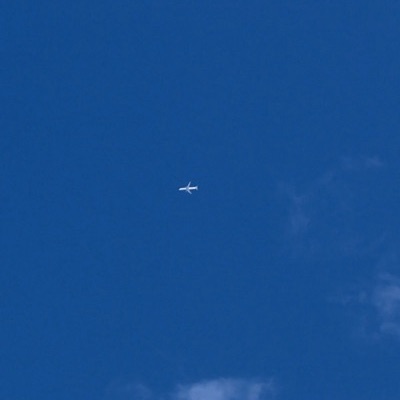 UAL906 Boeing 787-10 Dreamliner United Airlines, FRA → ORD, 6 Sept 2026, photographed by Tiger Tiger Tiger