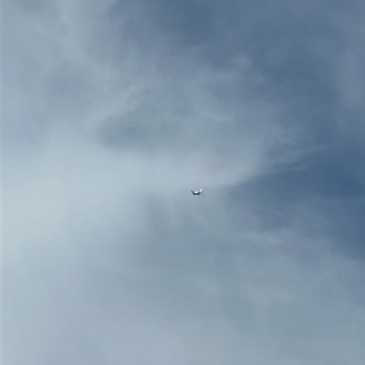 LX-NCL Boeing 747-400 Cargolux, LUX → JFK, 12 Sept 2026, photographed by Swift Uniform