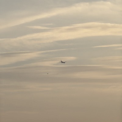 D-AZMP Airbus A300-600 European Air Transport Leipzig, FRA → LHR, 6 Sept 2026, photographed by TC