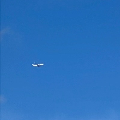 9M-MAB Airbus A350-900 Malaysia Airlines, LHR → KUL, 4 Oct 2026, photographed by F-16 sharp eye
