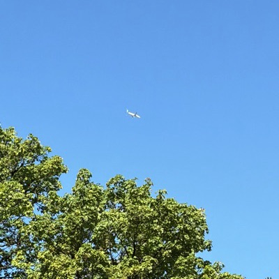 EC-OPX Boeing 737 MAX 8 Air Europa, MAD → MUC, 19 Jun 2026, photographed by AirLightning13