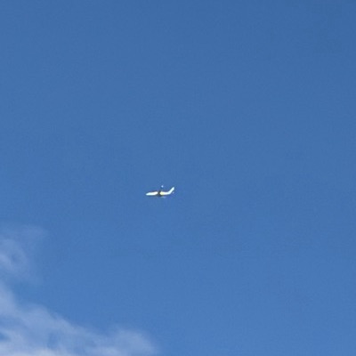 SE-RND Boeing 737 MAX 8 TUI fly Deutschland, KGS → ARN, 18 Sept 2026, photographed by August M