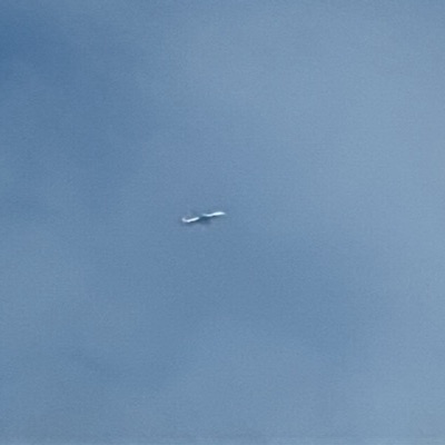 9H-QEJ Boeing 737-800 Ryanair, STN → BER, 27 Sept 2026, photographed by SALT