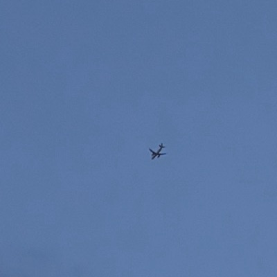 SE-ROR Airbus A320neo Scandinavian Airlines, CPH → ARN, 17 Sept 2026, photographed by August M
