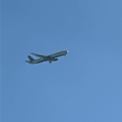 N829MH Boeing 767-400 Delta Air Lines, ATL → LHR, 10 Sept 2026, photographed by ItsJoshVibes