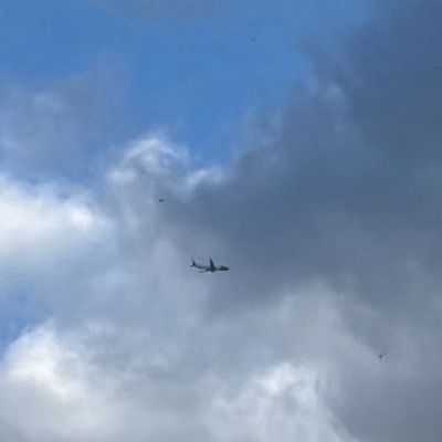 SE-RTF Boeing 737 MAX 8 NOZ Airlines, HEL → ARN, 22 Sept 2026, photographed by August M