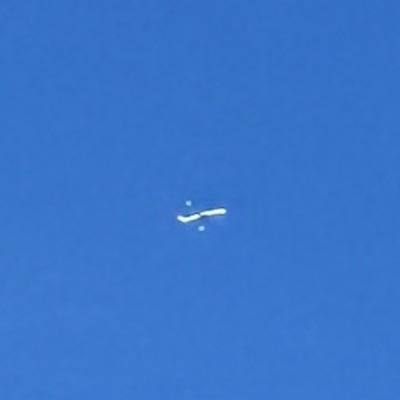 EI-DWX Boeing 737-800 Ryanair, STN → BGY, 5 Oct 2026, photographed by SALT