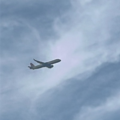 G-TNEE Airbus A321neo British Airways, BCN → LHR, 25 Sept 2026, photographed by ItsJoshVibes