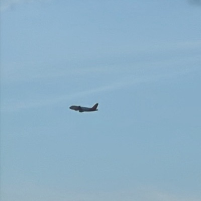 G-EZDL Airbus A319 easyJet, LGW → MXP, 2 Oct 2026, photographed by F-16 sharp eye