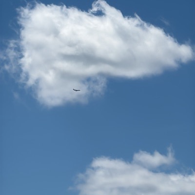 N416F Bombardier Challenger 300 KOW, QNH → YYZ, 12 Jun 2026, photographed by CommanderFalcon27