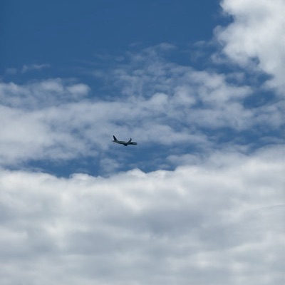 C-GNAM Airbus A220-300 Air Canada, YYC → YYZ, 20 Jun 2026, photographed by CommanderFalcon27