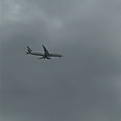F-HOZA Airbus A220-300 Air France, CDG → LHR, 10 Sept 2026, photographed by ItsJoshVibes