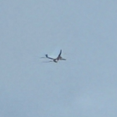 A6-EPH Boeing 777-300ER Emirates, STN → DXB, 6 Oct 2026, photographed by SALT