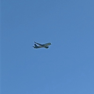 EI-NSG Airbus A320neo Aer Lingus, ORK → LHR, 10 Sept 2026, photographed by ItsJoshVibes