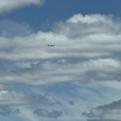 N17413 Boeing 737 MAX 9 United Airlines, CHS → EWR, 15 Jun 2026, photographed by CaptainBlade6