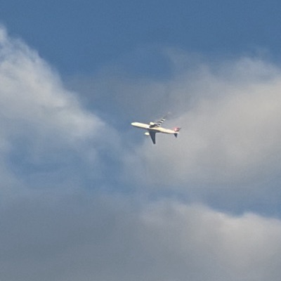 TC-JOA Airbus A330-300 Turkish Airlines, IST → DUS, 31 Aug 2026, photographed by WingStorm4
