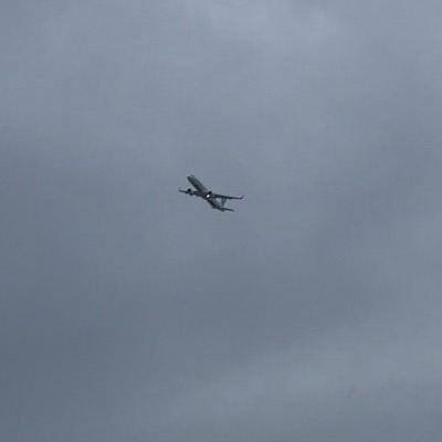 PH-YHZ Airbus A321neo Transavia, AMS → BRI, 30 Sept 2026, photographed by Tiger Tiger Tiger