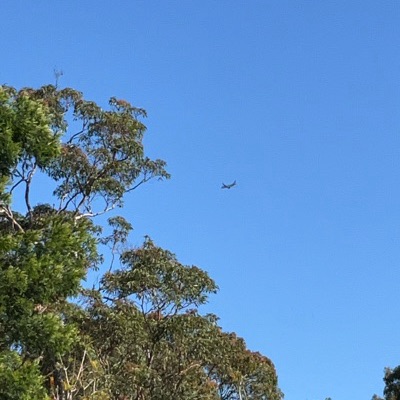 VH-VFQ Airbus A320 Jetstar Airways, MEL → SYD, 8 Oct 2026, photographed by Twiggles