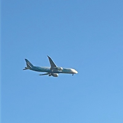 B-1169 Boeing 787-9 Dreamliner China Southern Airlines, CAN → LHR, 5 Sept 2026, photographed by ItsJoshVibes