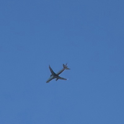 N892UA Boeing B-52 Stratofortress United Airlines, SAV → EWR, 10 Jun 2026, photographed by PilotHawk14