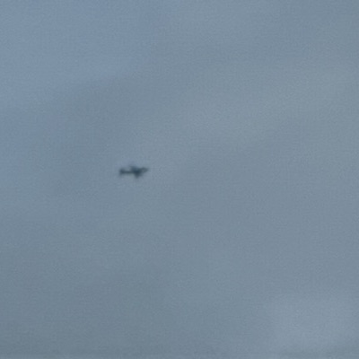 D-AIZD Airbus A320 Lufthansa, FRA → LHR, 26 Sept 2026, photographed by SALT