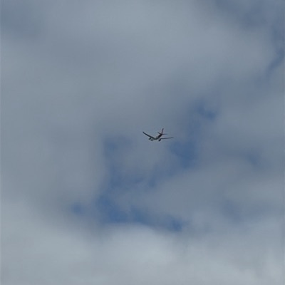 VH-ONW Cessna 172 Skyhawk, QBA → GYP, 17 Jun 2026, photographed by AirEagle29