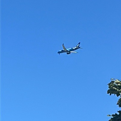 N266BZ Airbus A220-300 Breeze Airways, CHS → HPN, 14 Sept 2026, photographed by Dayy