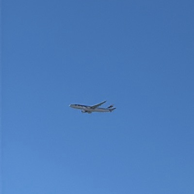 OH-LTS Airbus A330-300 Finnair, HEL → DFW, 18 Oct 2026, photographed by SPUR