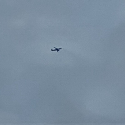 G-EUUS Airbus A320 British Airways, PSA → LHR, 26 Sept 2026, photographed by SALT