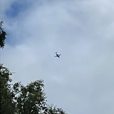 OH-WIW Canadair Challenger 600, 15 Jun 2026, photographed by Spotter 1863