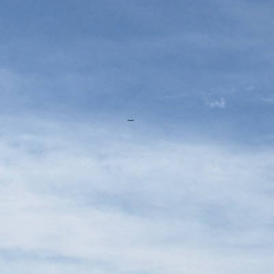 N767UW Airbus A319 American Airlines, MSY → DCA, 25 Sept 2026, photographed by Crimson Juliet