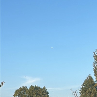 D-AALG Boeing 777F AeroLogic, LEJ → BRU, 7 Oct 2026, photographed by Milopu2008