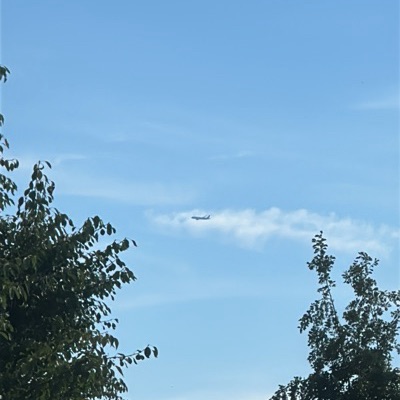 JY-BAH Boeing 787-8 Dreamliner Royal Jordanian, AMM → ORD, 26 Sept 2026, photographed by Captain74715