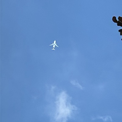 F-GXLN Airbus A330-700L BelugaXL Airbus Transport International, XFW → SNR, 15 Sept 2026, photographed by ollidirksen