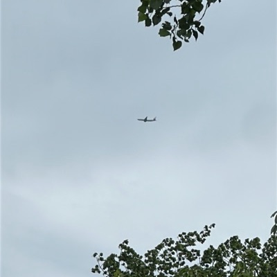 B-18781 Boeing 777-200LR China Airlines, KIX → ORD, 17 Jun 2026, photographed by Captain74715
