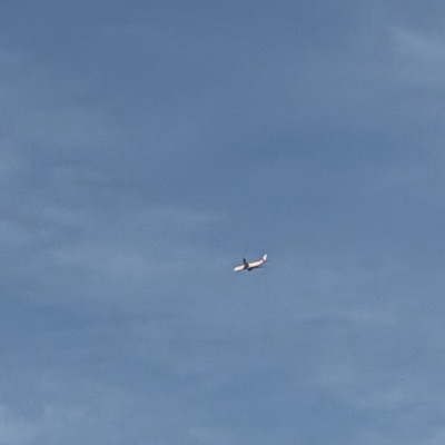 OY-VKP Airbus A330-900 Sunclass Airlines, LCA → ARN, 11 Sept 2026, photographed by August M