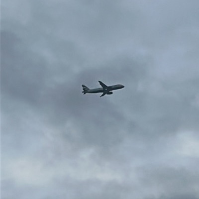 G-EUYL Airbus A320 British Airways, PRG → LHR, 19 Sept 2026, photographed by ItsJoshVibes