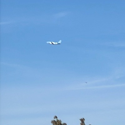G-TUKX Boeing 737-800 TUI fly Deutschland, LGW → LPA, 26 Sept 2026, photographed by F-16 sharp eye