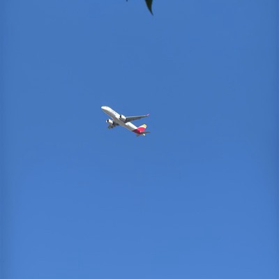 EC-NFZ Airbus A320neo Iberia, MAD → PRG, 6 Sept 2026, photographed by India Falcon